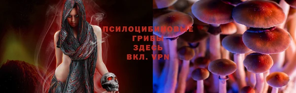 скорость Абаза