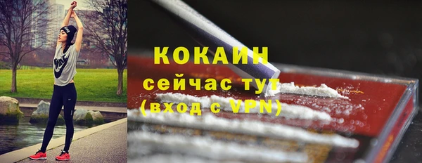 дмт Надым