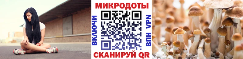 Псилоцибиновые грибы Psilocybe Ессентукская