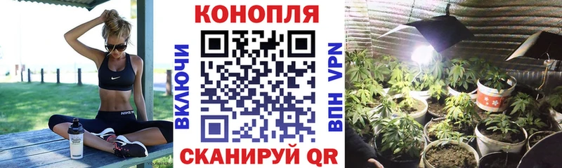 Шишки марихуана OG Kush  Ессентукская 